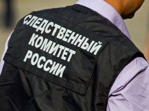 Председателю СК России представят доклад о противоправных действиях водителя автобуса в Приморском крае